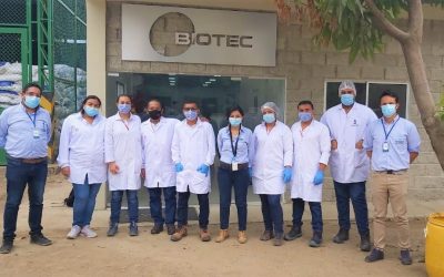 Empezamos los trabajos de control para combatir enfermedades en cultivo de banano junto a Laboratorios Biotec