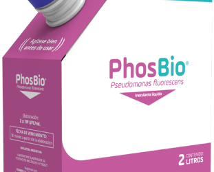 PhosBio